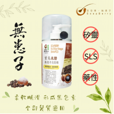 皂皂果首烏米醋無患子洗髮精 SoapBerry Fo-Ti Rice Vinegar Shampoo 300mL