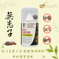 皂皂果無患子生薑洗髮精 Soapberry Ginger Shampoo 300mL