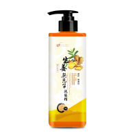 生姜無患子洗髮精 500mL