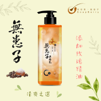 皂皂果無患子沐浴乳 Soapberry Body Wash 500mL
