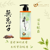 皂皂果茶樹無患子沐浴乳 Soapberry Tea Tree Body Wash 500mL