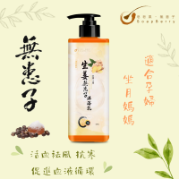 皂皂果生姜無患子沐浴乳 Soapberry Ginger Body Wash 500mL