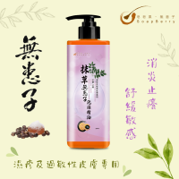 皂皂果抹草無患子泡澡精油 Soapberry Herbal Essence Treatment 500mL