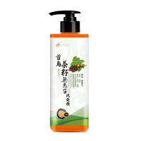 首烏茶籽無患子洗髮精 500mL