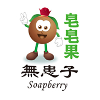 Soapberry